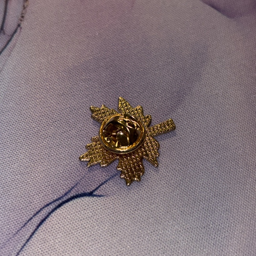 Dark Orange and Gold Fall Maple Leaf Enamel and Metal Pin - Picture 2 of 2